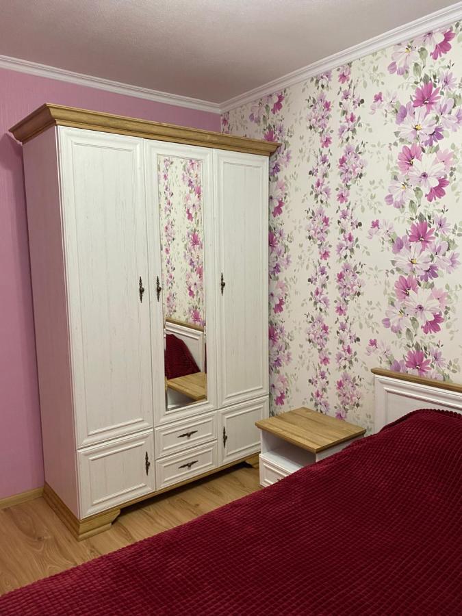 Затишна 2-Х Кімнатна Квартира - Дім Camenița Exterior foto